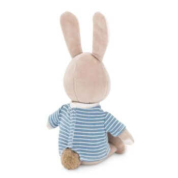 Lucas le lapin 6