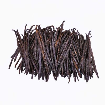 BULK/CHR/HORECA - Baccelli di Vanilla Planifolia - Uganda