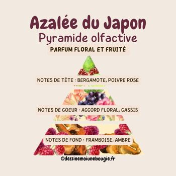 Fondant parfumé - Poivre rose/Cassis/Framboise 3