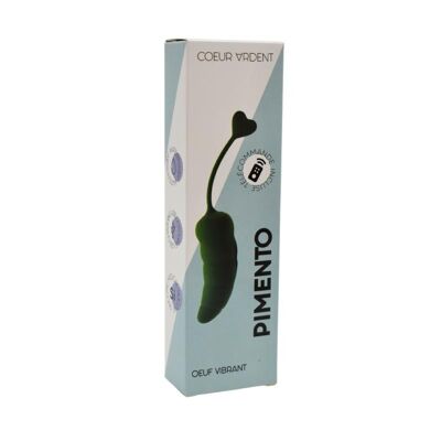 HUEVO VIBRADOR PIMENTO