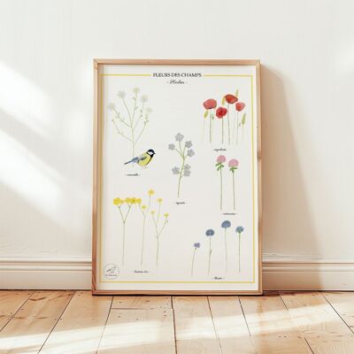 Affiche aquarelle "Fleurs des champs" 30x40 cm