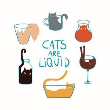Les chats sont liquides