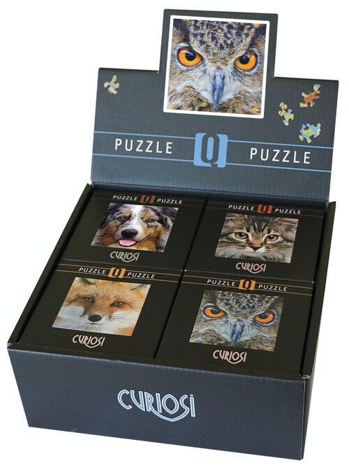 Display-Box Q4-Animal