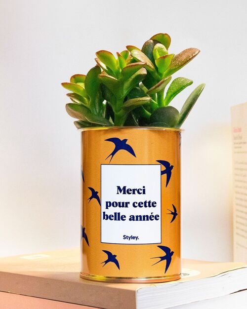 Plante Grasse - Merci pour cette belle année - cadeau de fin d'année scolaire