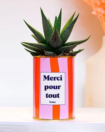 Plante Grasse - Merci pour tout - cadeau de fin d'année scolaire