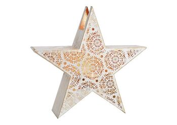 Lanterne étoile en métal blanc, doré (L/H/P) 36x31x10cm