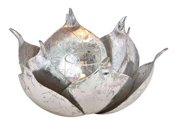 Lanterne Lotus en métal, verre argenté (L/H/P) 20x12x20cm