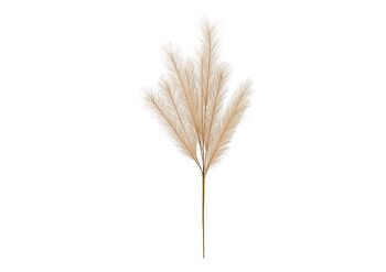 Herbe de la pampa en plastique beige (H) 91cm