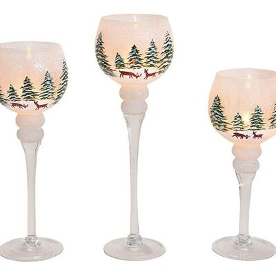 Set lanterna calice, decoro foresta invernale 30, 35, 40 cm x Ø13 cm in vetro bianco, set colorato da 3