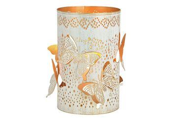 Lanterne décor papillon en métal blanc, or (L/H/P) 13x20x13cm