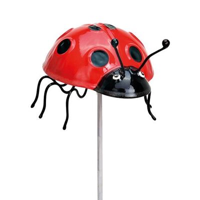 Spina coccinella in metallo rosso (L/A/P) 10x65x10 cm