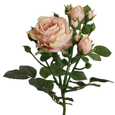 Künstliche Blumen Englisch Blüte, Knospen aus Kunststoff Pink/Rosa (H) 62cm