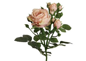 Fleurs artificielles Fleur anglaise, boutons en plastique rose/rose (H) 62cm