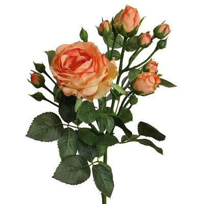 Künstliche Blumen Englisch Blüte, Knospen aus Kunststoff Peach (H) 62cm