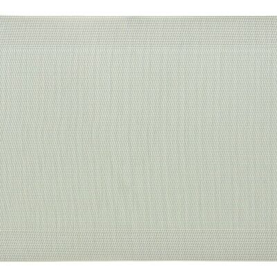 Set de table en plastique vert menthe (L/H) 45x30cm
