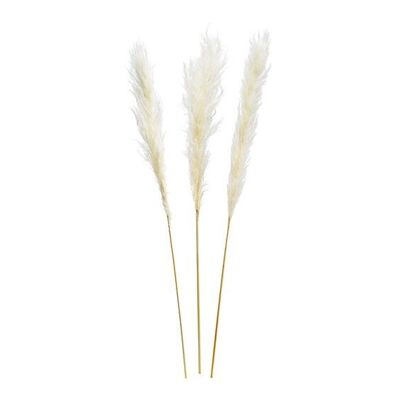 Set erba di pampa in materiale naturale bianco, set da 3, (H) 100-115 cm