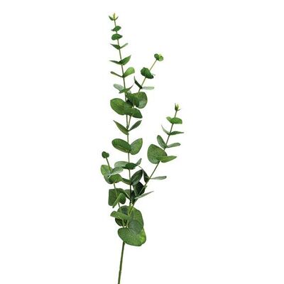 Eukalyptus aus Kunststoff Grün (H) 80cm