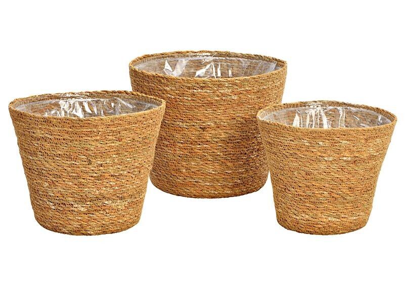 Blumentopf-Set 3er aus Seegras mit Folie ausgeschlagen aus Naturmaterial Natur 3er Set, (B/H/T) 25x20x25cm 22x18x22cm 20x16x20cm