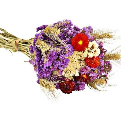 Ramo holandés de flores secas de material natural, violeta/verde/rojo (Al.) 55 cm