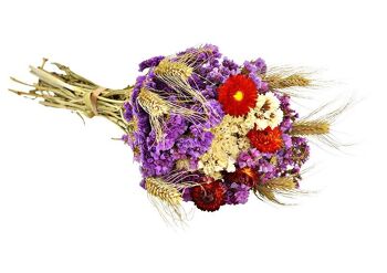 Bouquet de fleurs séchées hollandaises en matériau naturel, violet/vert/rouge (H) 55cm