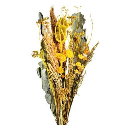 Bouquet di fiori secchi Regno olandese in materiale naturale (H) 55 cm