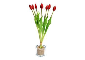 Bouquet de tulipes avec 7 tulipes en plastique rouge (L/H/P) 6x44x6cm