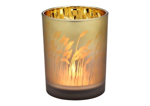 Windlicht Pampasgras Dekor aus Glas braun, gold (B/H/T) 10x12x10cm