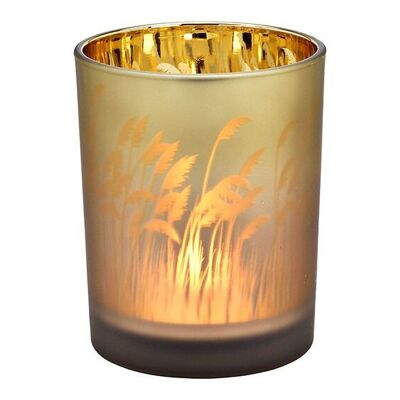 Windlicht Pampasgras Dekor aus Glas braun, gold (B/H/T) 10x12x10cm