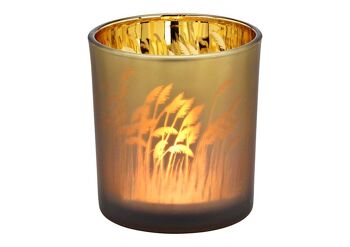 Lanterne décor herbe de pampa en verre marron et doré (L/H/P) 7x8x7cm