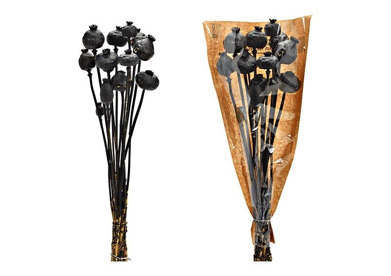 Dried flower bouquet Papaver made of natural material, black (H) 50cm