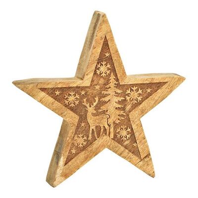 Estrella con decoración invernal de madera de mango, natural (An/Al/Pr) 25x25x4cm