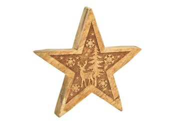 Étoile avec décoration hivernale en bois de manguier, naturel (L/H/P) 25x25x4cm