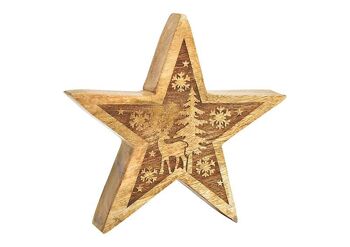 Étoile avec décoration hivernale en bois de manguier naturel (L/H/P) 20x20x4cm