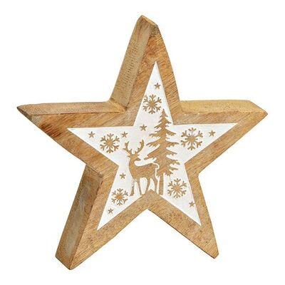 Estrella con decoración invernal de madera de mango natural, blanco (an/al/pr) 15x15x4cm