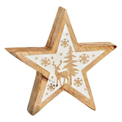 Estrella con decoración invernal de madera de mango natural, blanco (an/al/pr) 20x20x4cm