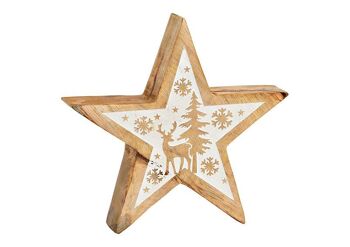 Étoile avec décoration hivernale en bois de manguier naturel, blanc (L/H/P) 20x20x4cm