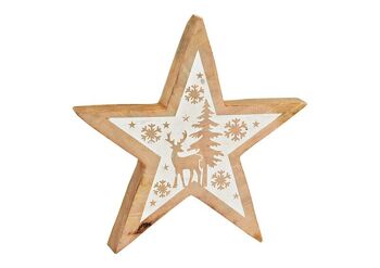 Étoile avec décoration hivernale en bois de manguier naturel, blanc (L/H/P) 25x25x4cm