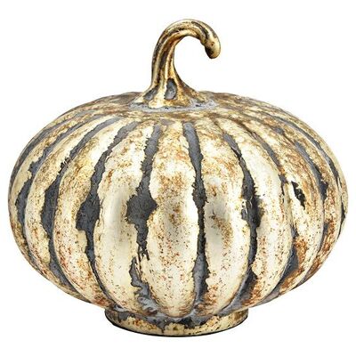 Calabaza de copa champagne antigua (An/Al/Pr) 19x17x19cm