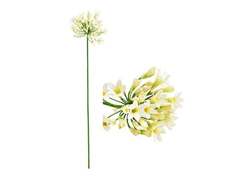 Kunstblume Agapanthus aus Kunststoff creme (H) 75cm