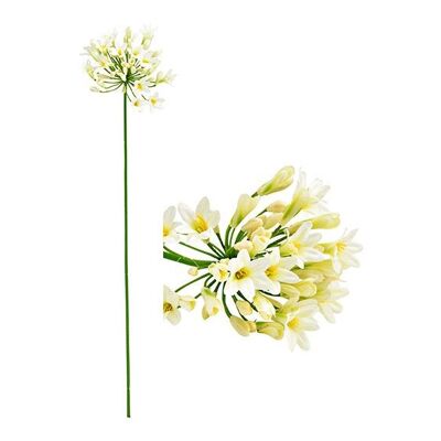 Flor artificial Agapanthus de plástico crema (H) 75cm