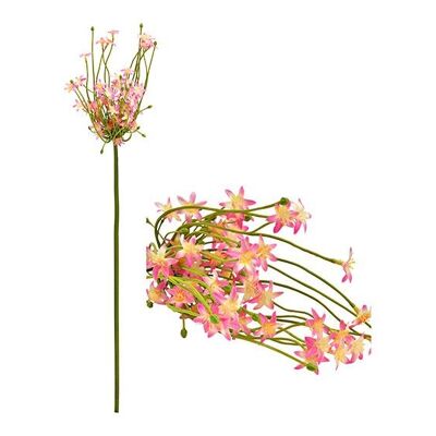 Allium artificiale in plastica rosa (H) 76 cm