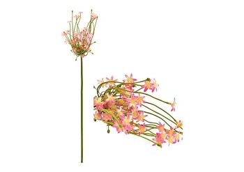 Fleur artificielle allium en plastique rose (H) 76cm