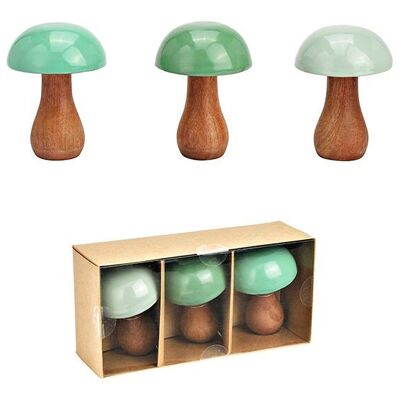 Set di 3 funghi, in legno di mango verde (L/A/P) 8x12x8 cm