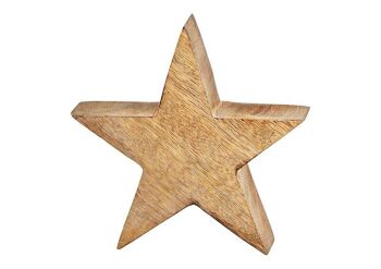 Étoile en bois de manguier marron (L/H/P) 14x14x4cm