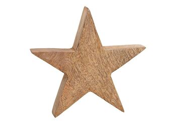 Étoile en bois de manguier marron (L/H/P) 20x20x4cm