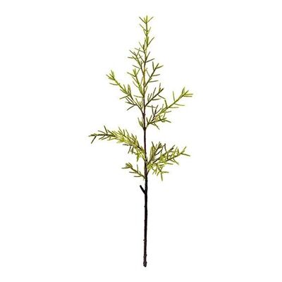 Fleur artificielle branche de Santolina en plastique vert (H) 75cm