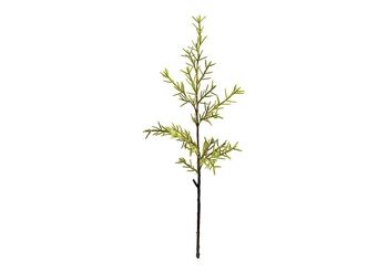 Fleur artificielle branche de Santolina en plastique vert (H) 75cm