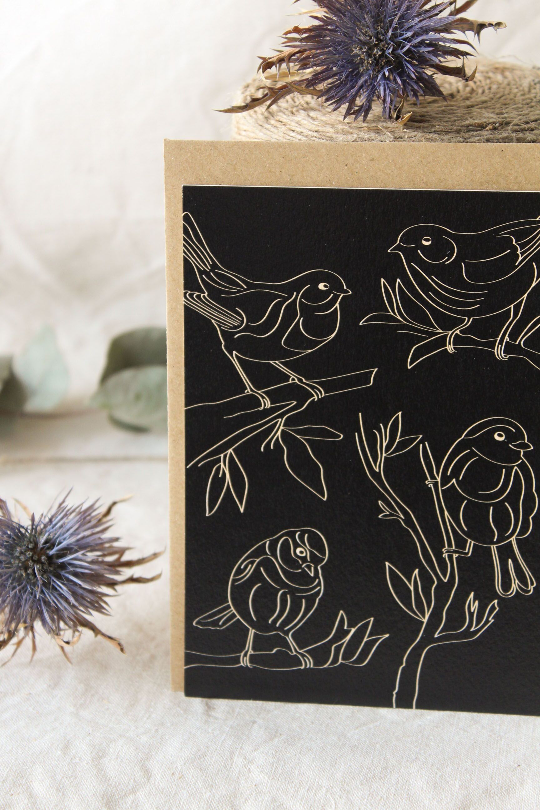 Collezione di cartoline Uccelli Nero e Beige