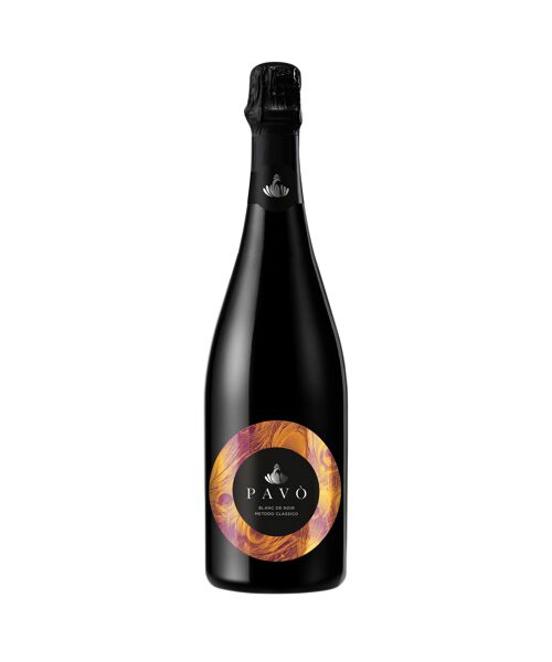 Spumante Metodo Classico Pavò Franciacorta Extra Dry VSQ