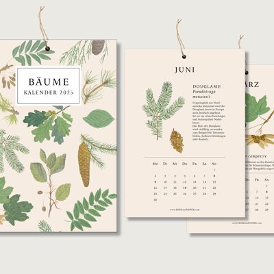 Kalender für 2025  "Bäume" - botanischer Kalender | Herbarium || HERZ und PAPIER